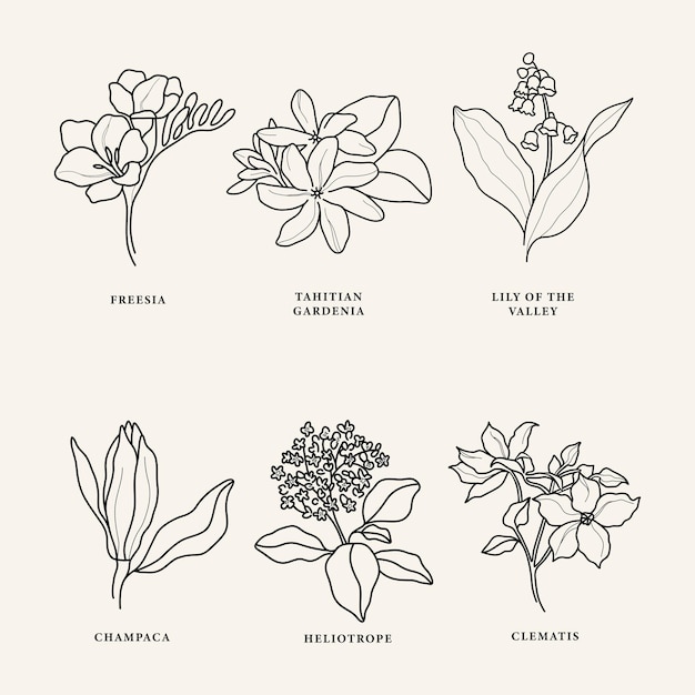 Set di fiori profumati line art