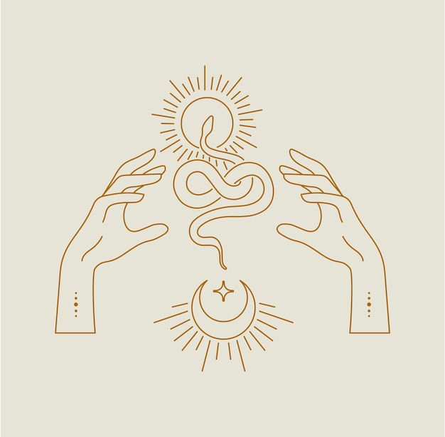 Premium Vector Set of line art illustration