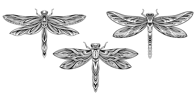 Set of line dragonflies