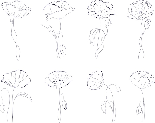 Set of line drawing poppy flowers Collection of sketch flowers Minimalist Prints Set Vector