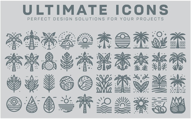 Set line icons of palm vector illustration