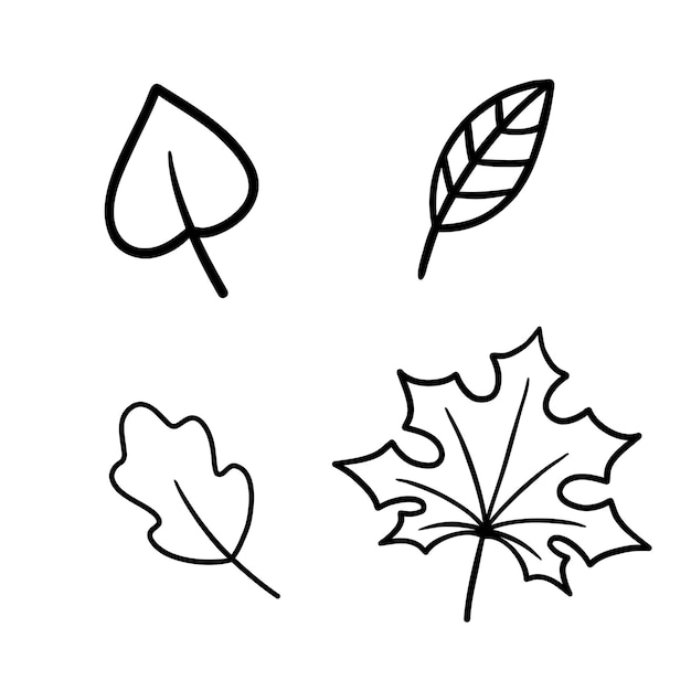 Set of line leaves doodles .Vector illustration isolated on white background