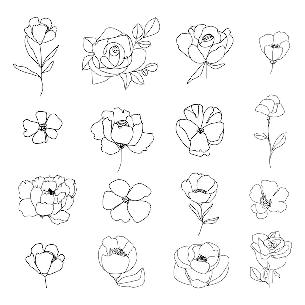 Set of linear various flower.