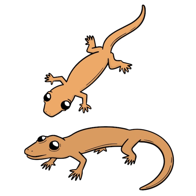 set of lizards