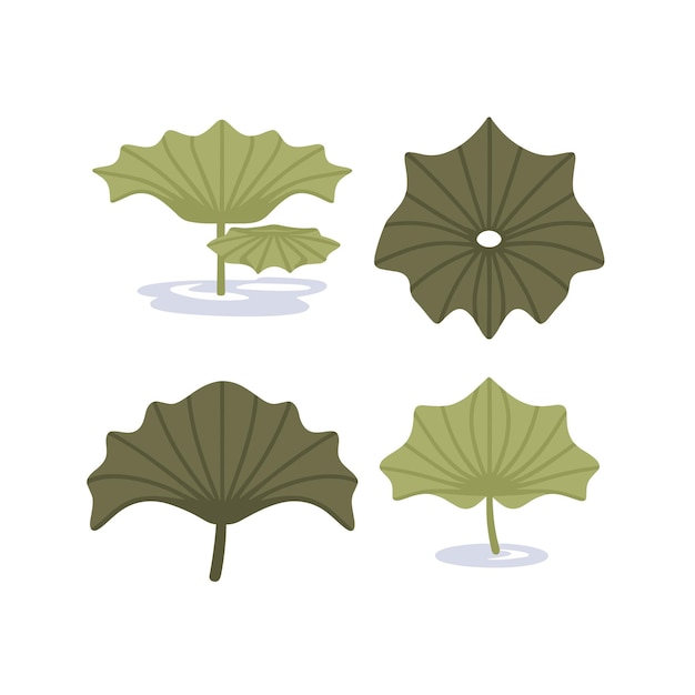 set of lotus leaf