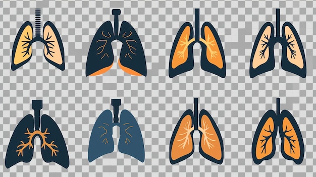 Vector a set of lungs and lungs on a checkered background