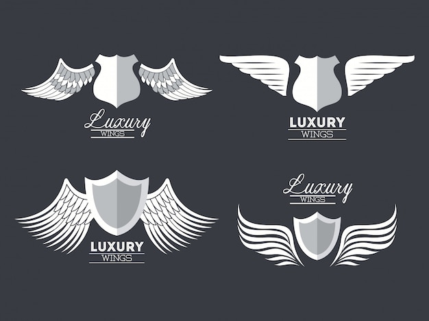 Set luxury silver wings