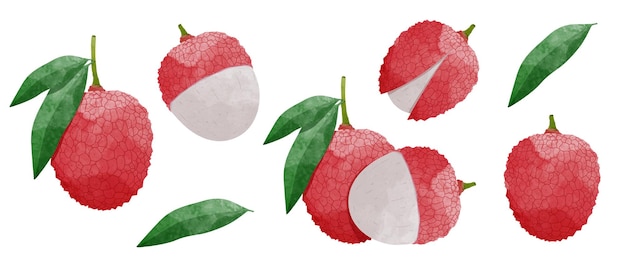 Set di frutta litchi con foglie elementi di design in stile acquerello illustrazione vettoriale