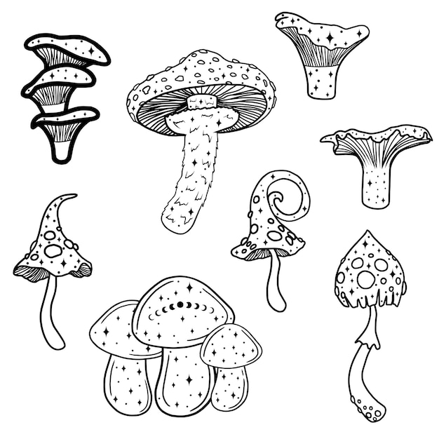 Set of magical lined mushrooms with stars, vector art