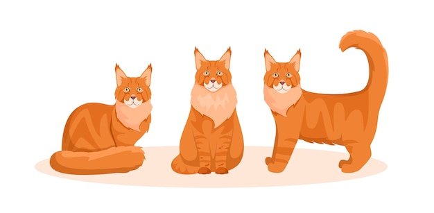 白い背景の上のメインクーン猫のセット漫画のデザイン