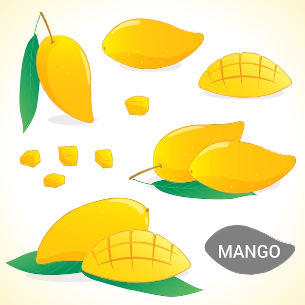 Набор манго в различных стилях в векторном формате