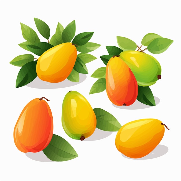 Set of mango vector graphics with a modern and contemporary design