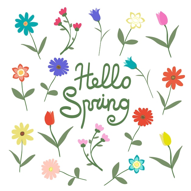 HELLO SPRINGのテキスト文字で、白い背景に分離された花の多くのバリエーションのセット