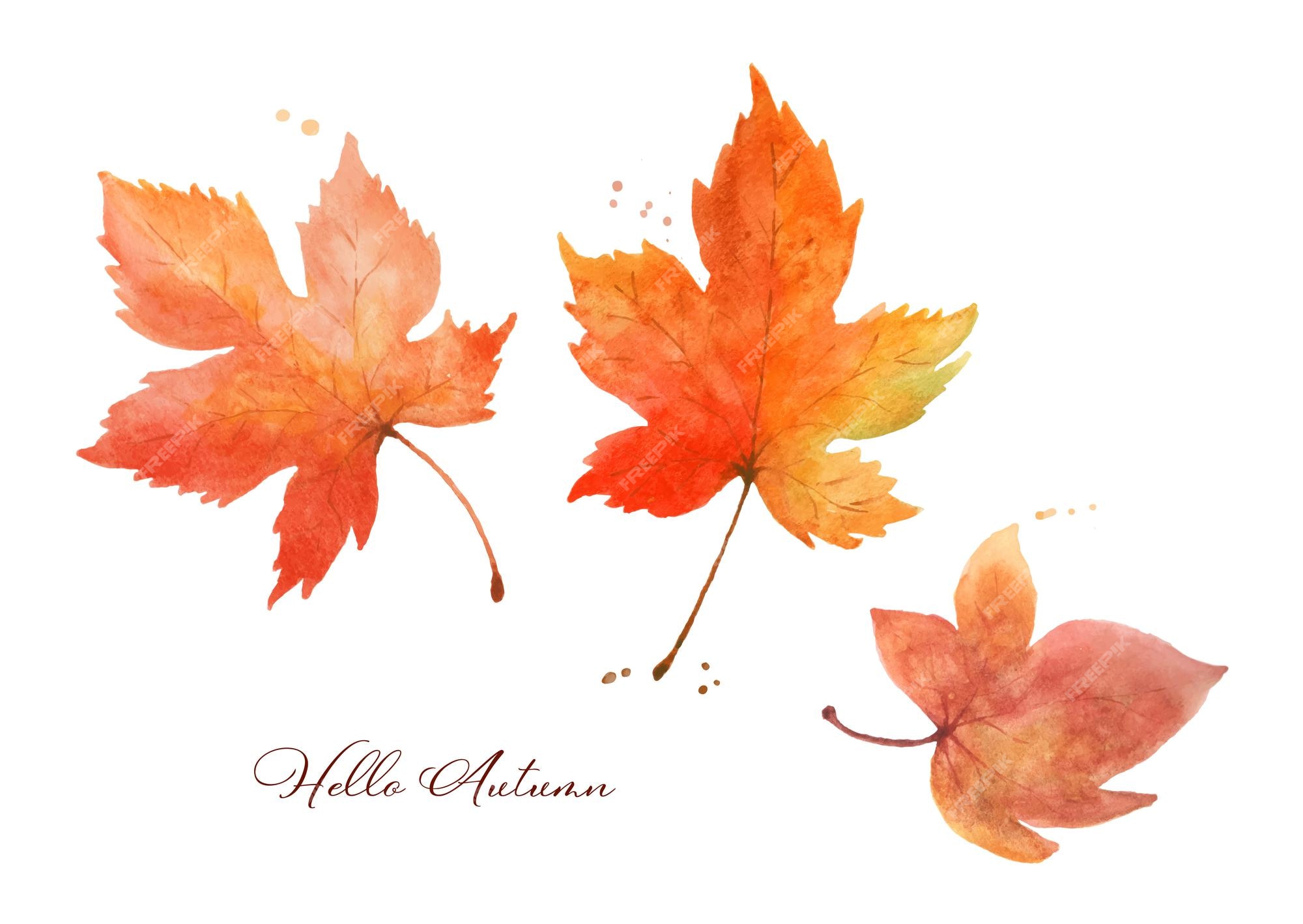 Premium Photo  Watercolor autumn maple leaf