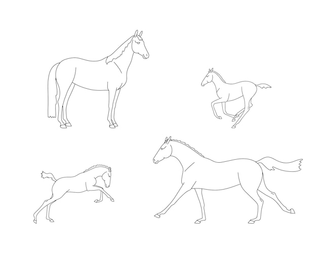 Set of mares with their foals linear contours for coloring