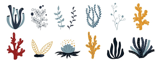 Set mariene planten koralen en zeewier Iconen van onderwater rifplanten Vector in cartoon-stijl