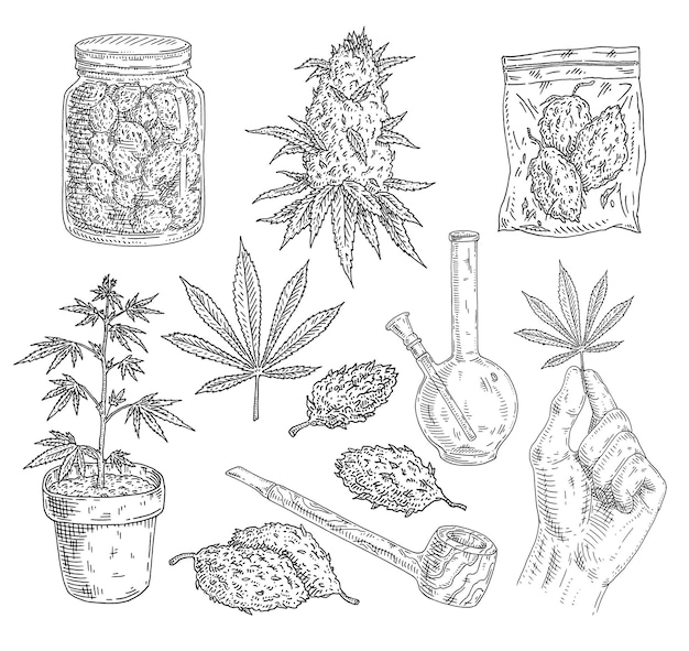 Vector set marijuana buds hand hold leaf plant in pot pipe bong glass jar plastic bag vintage vector engraving