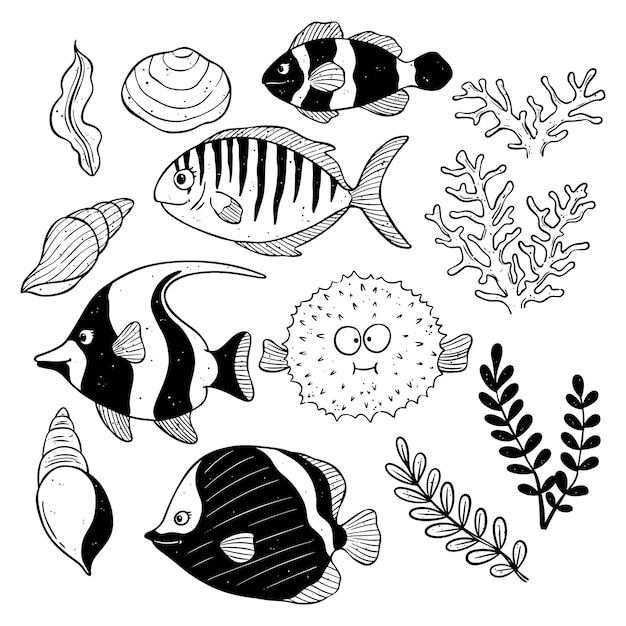 Premium Vector | Set of marine animals outline hand drawn of sea life puffer fish shell and sea plants Premium Vector | Set of marine animals outline hand drawn of sea life puffer fish shell and sea plants