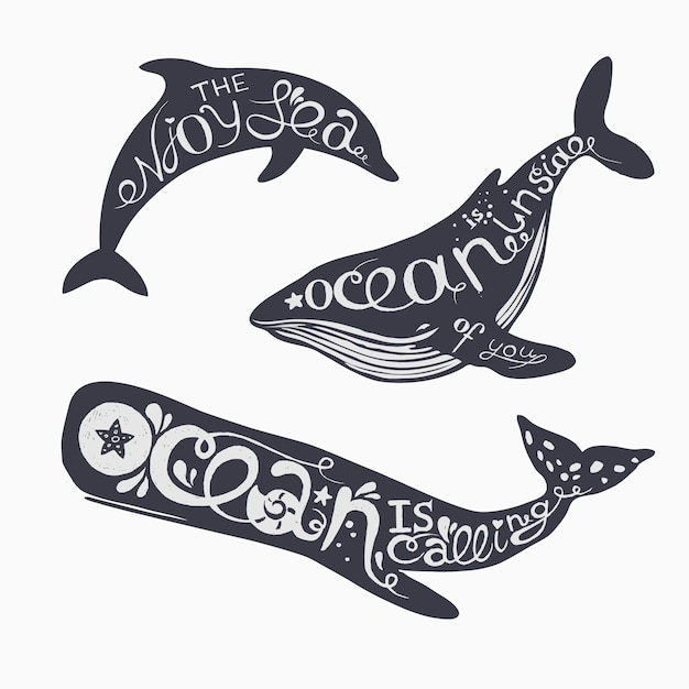Set of marine animals with lettering. Vector illustration. Dolphin, big blue whale and cachalot