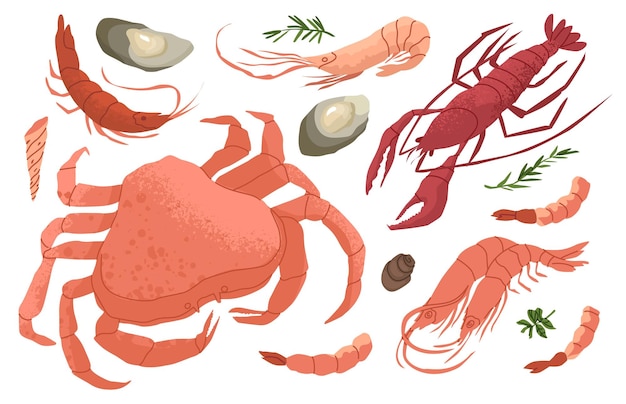 Set of marine arthropods Crab shrimp lobster Mediterranean or Asian cuisine Set of seafood products Food rich in protein and iodine Vector illustration isolated on white background