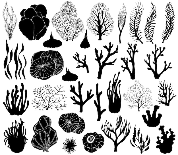 Vector set of marine corals silhouettes