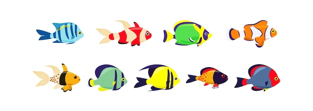 Vector set marine exotic fishes  collection aquarium vector fish isolates sea fish vector illustration