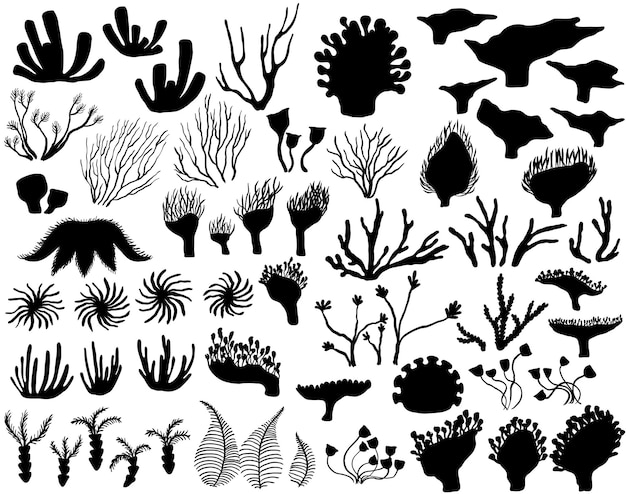 Set of marine life silhouettes