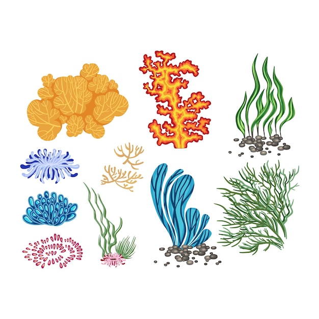 Aquatic Plants Vector Images (over 11,000)