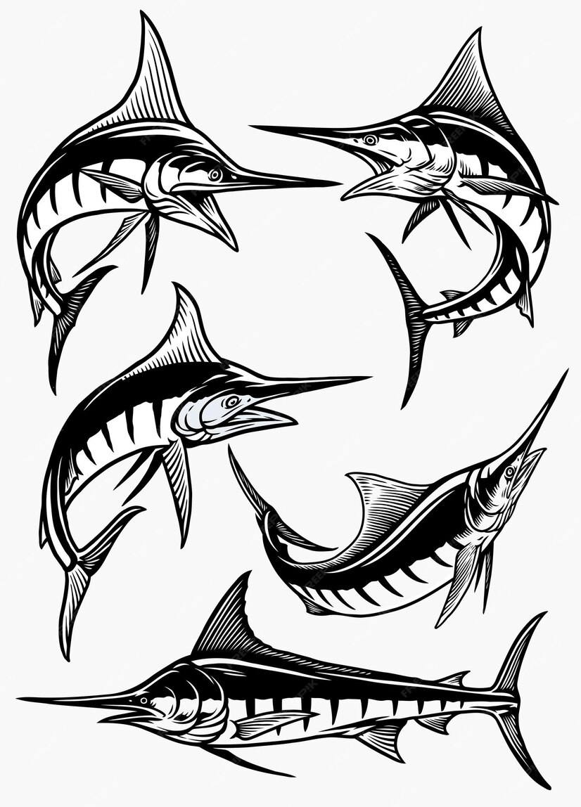 Premium Vector | Set of marlin fish in black and white