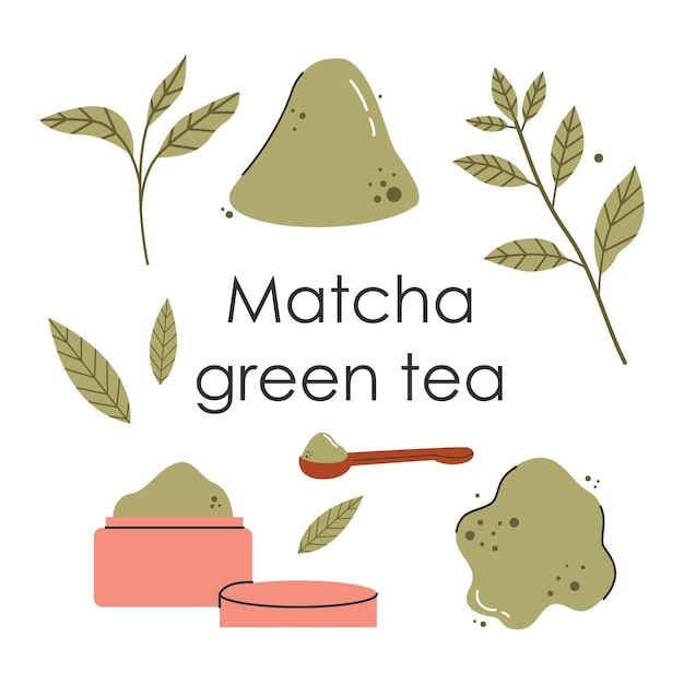Набор листьев зеленого чая маття Японская культура чая Матча латте - полезный напиток Ручная векторная цветная модная иллюстрация