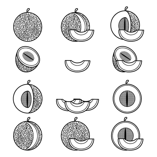 Vector set melon