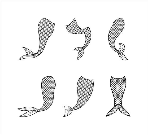 Set of Mermaid's Tail Illustrations White Background