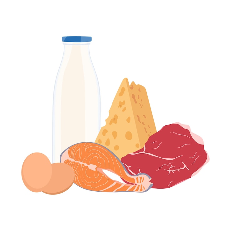 Vector set met dierlijke voeding vlees, vis, kaas, melk, eieren op een witte achtergrond