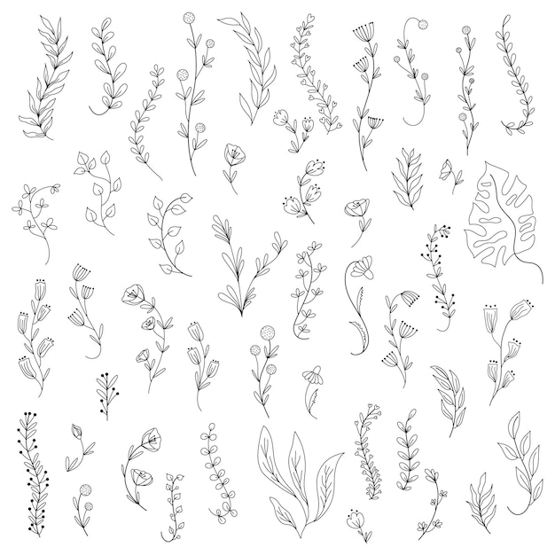 Vector set met florale details en bloemen vectorillustratie