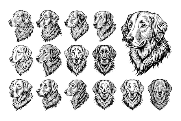 Set met handgetekende illustraties van het hoofd van een golden retrieverhond