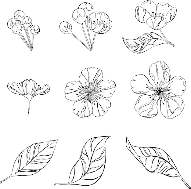 Vector set met handgetekende lijn kunst bloem