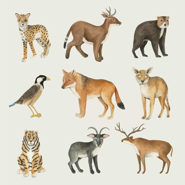 Set met illustraties van wilde dieren