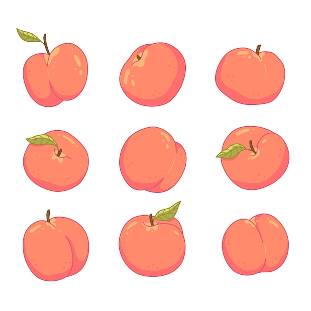 Set met perziken in cartoon-stijl Vector geïsoleerde voedselillustratie
