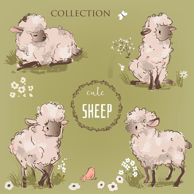 Set met schattige schapen. vector mooie collectie