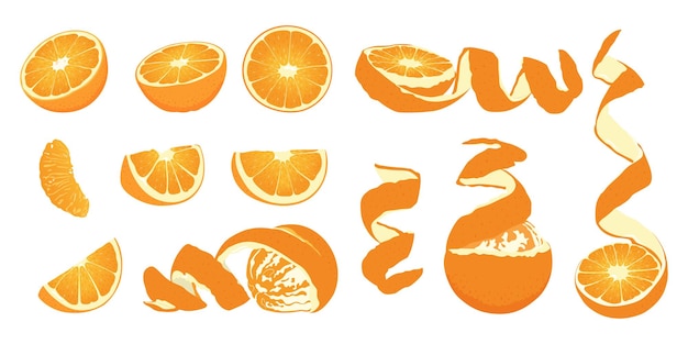 Vector set met sinaasappelbloesem sinaasappel op een tak een hele sinaasappel en een halve vrucht platte vector sinaasappel set