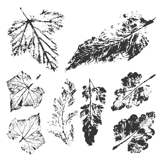 Set met stempel bladeren plant afdruk blad inkt print collectie objecten geïsoleerd op wit vector monochroom botanische elementen voor eco en bio logo's