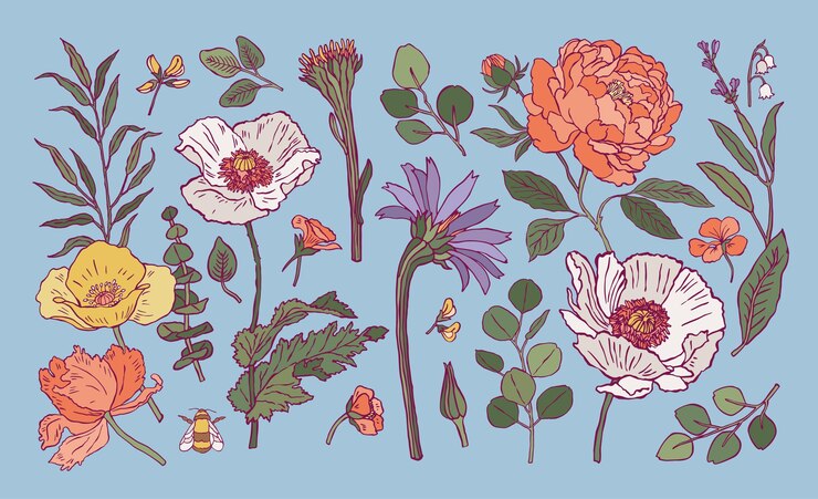 Vector set of minimal bohemian botanical illustrations for social media highlight covers or print posters