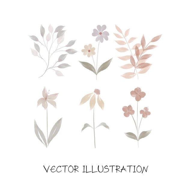 Vector a set of minimal flowers illustration