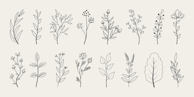 Vettore set di foglie minimali disegnate a mano da elementi decorativi botanici.
