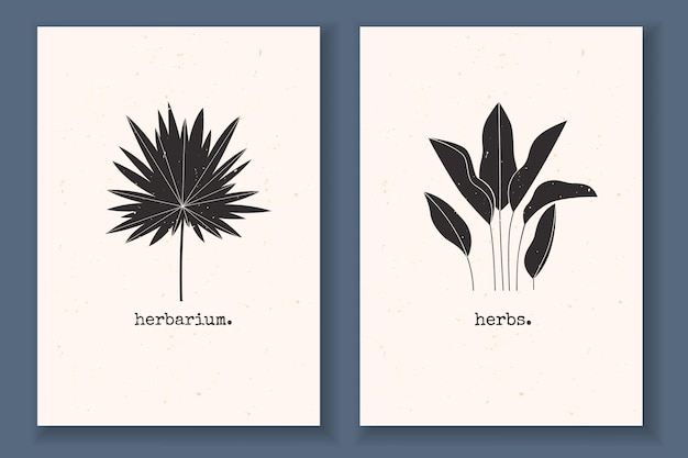 Set of minimal posters with plants tropical leaves and textured monochrome with abstract nature elements