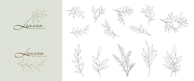 Vector set of minimalist botanical leaves branch hand drawn line elegant leaves vector suitable for logo design tattoo weddings save the date thank you or greeting card brush included in file