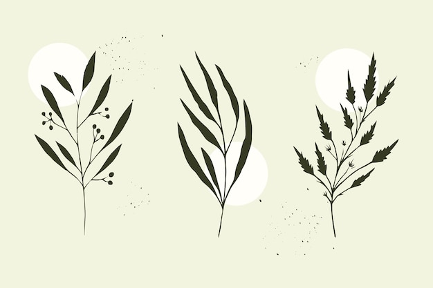 set of minimalistic branches of plants