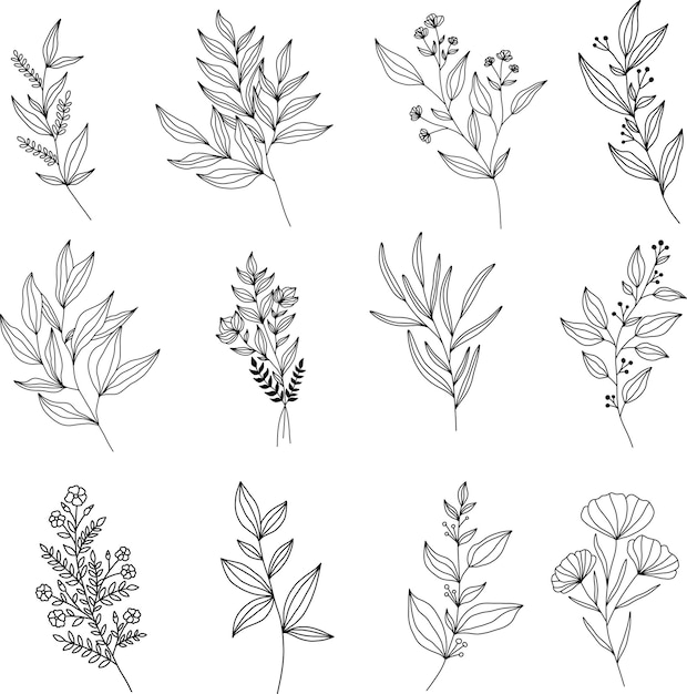 Vector set of modern line art floral elements hand draw florals