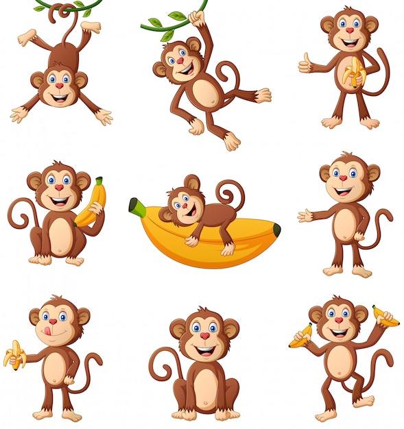 Set of monkey cartoon different poses.  illustration