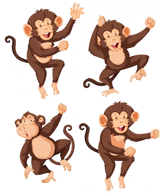 Vector set of monkey character